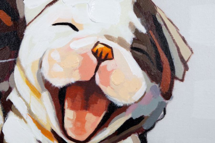 Obraz olejny Pop Art Cat and Dog 50 x 50 - Invicta Interior